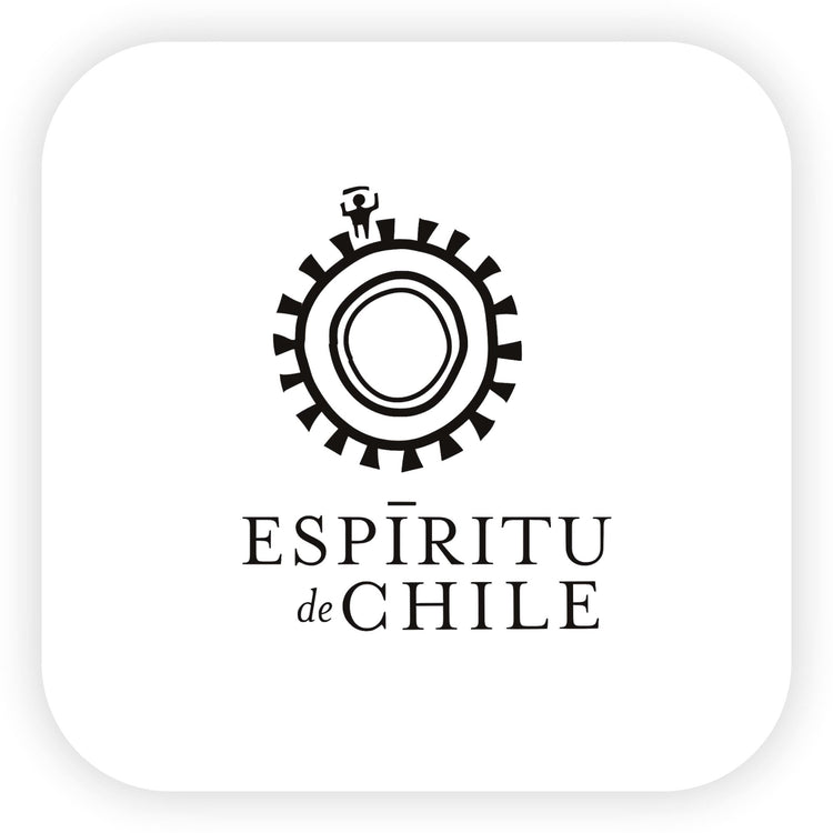 Espiritu De Chile Şarapları